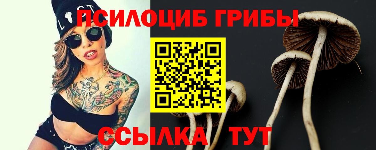 Псилоцибиновые грибы MAGIC MUSHROOMS  Вход с VPN  Ялуторовск  Галлюциногенные грибы Magic Shrooms 